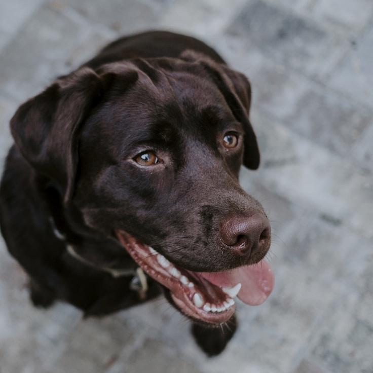 Operations Lead Avery Morgan